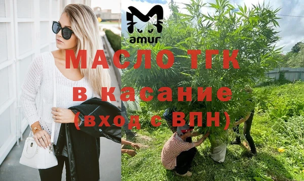 гидра Бородино